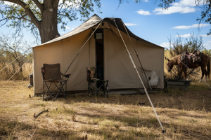 Bridger Tent with Pack Horse
