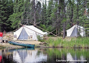 Glamping Tent in Woods