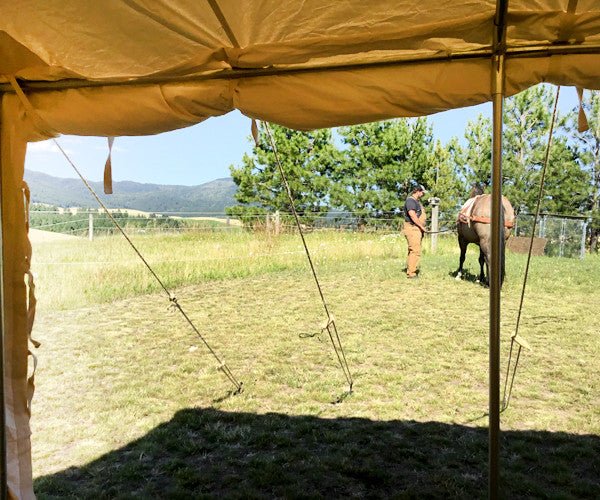 tent trading renswoude Trader Tent 16x24 - 6'6" Roll-Up Sidewalls