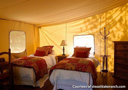 Luxury Glamping Tents with two windows